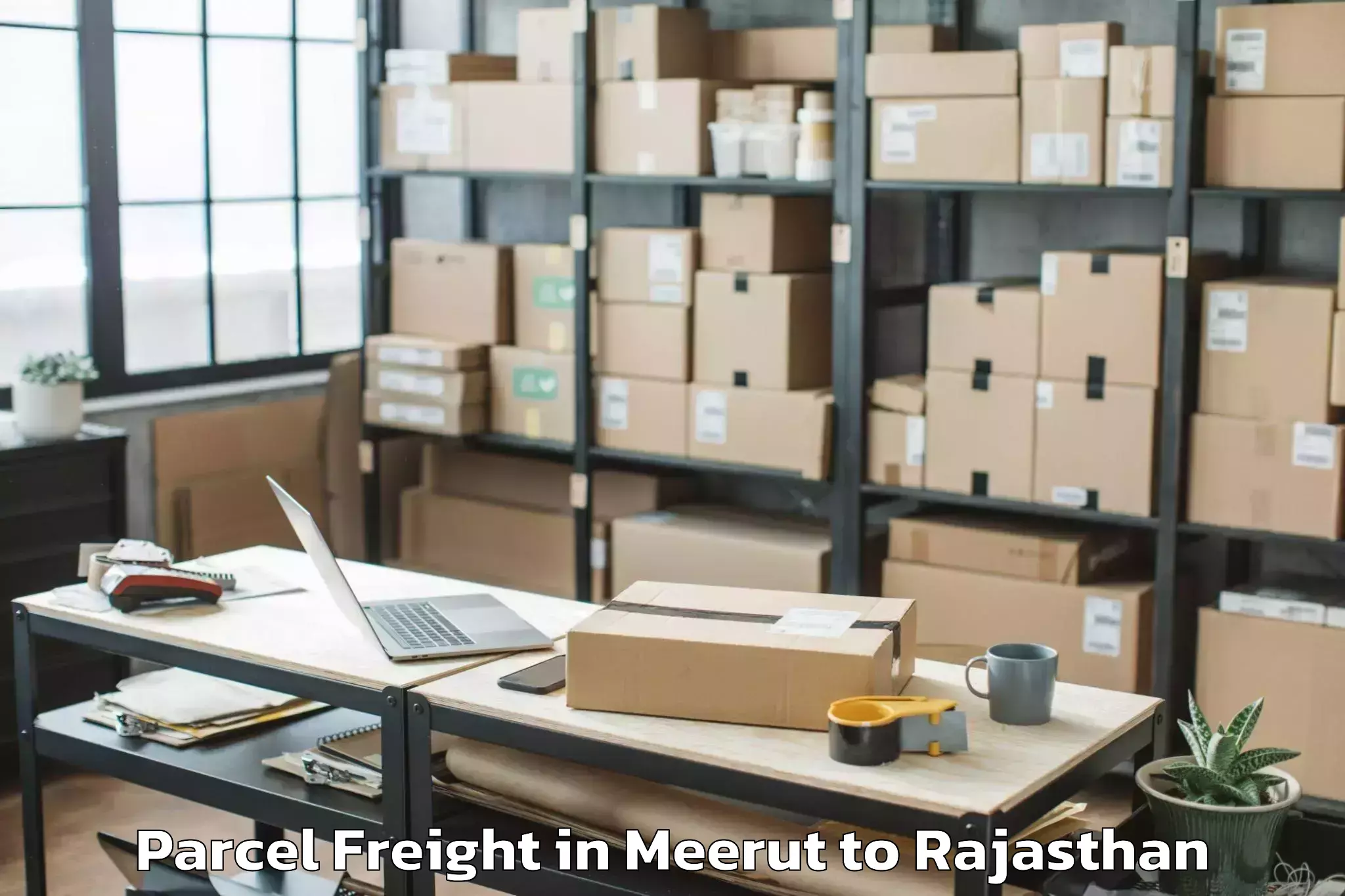 Reliable Meerut to Abhaneri Parcel Freight